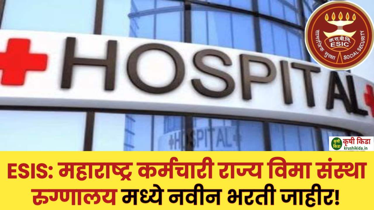 ESIS Hospital Solapur Bharti 2024: महाराष्ट्र कर्मचारी राज्य विमा संस्था रुग्णालय मध्ये नवीन विविध जागांसाठी भरती जाहीर! मुलाखत देऊन मिळवा सरकारी नोकरी!